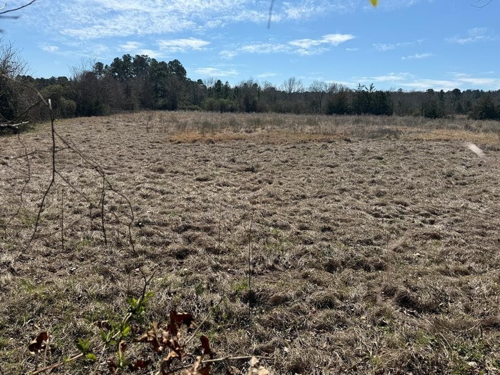 2 acres in Texas County