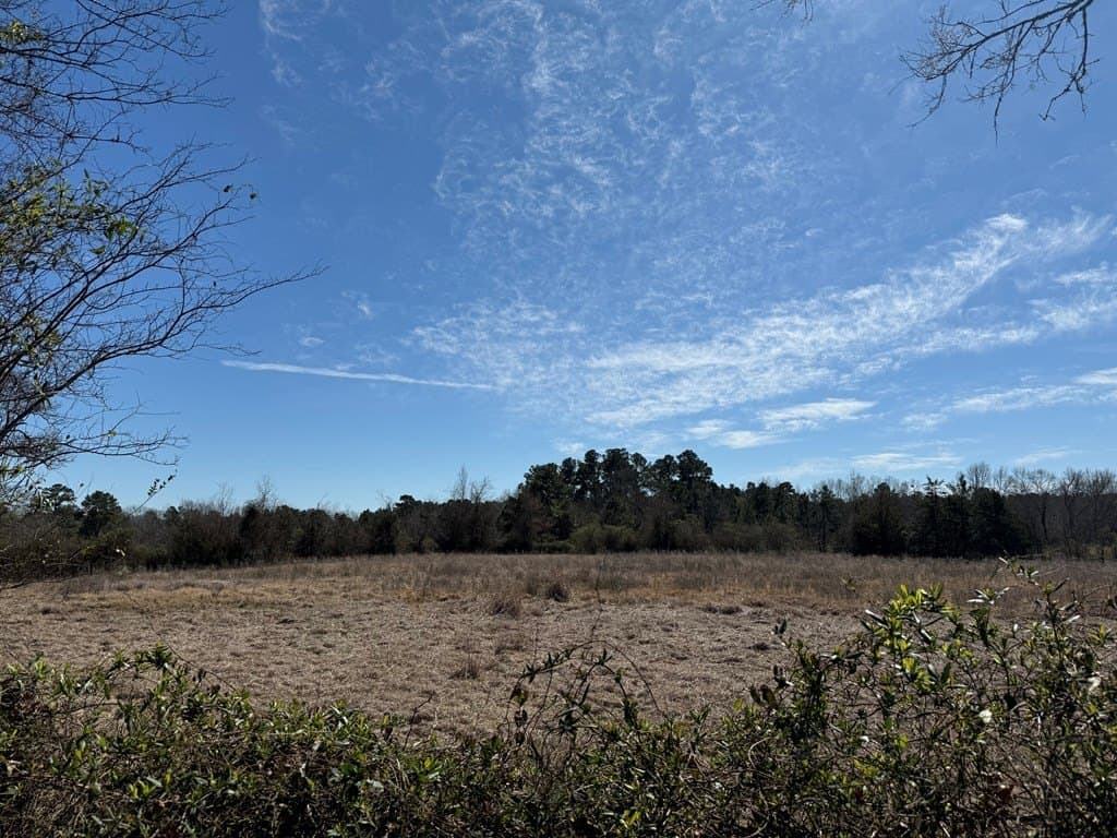2 acres in Texas County featured view
