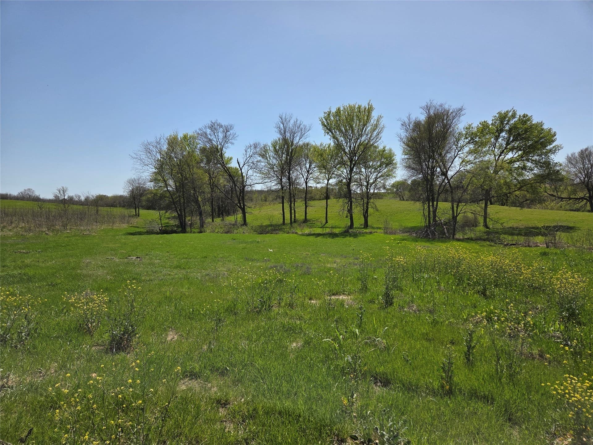 3.77 acres in Navarro County - photo 27