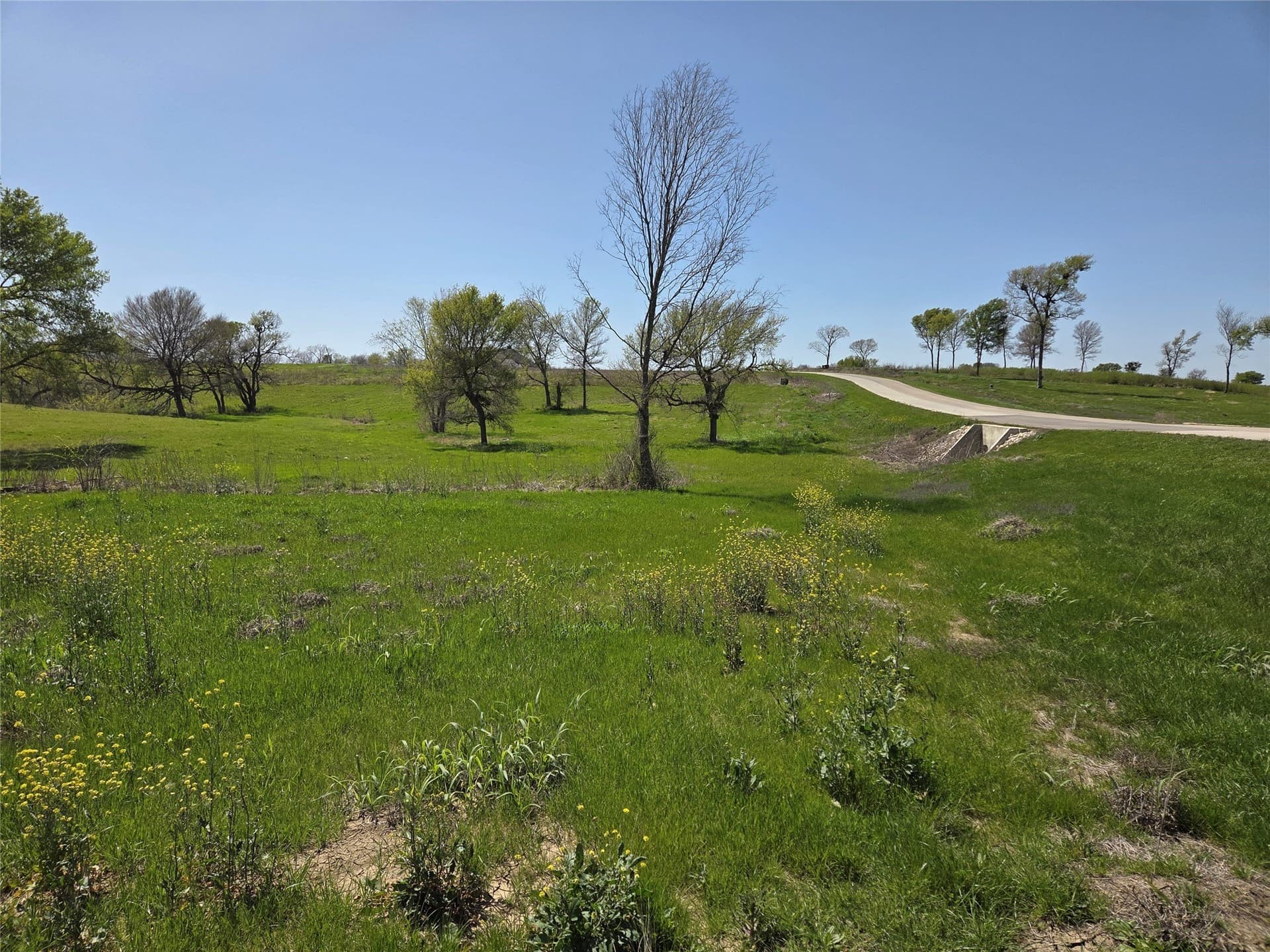 3.77 acres in Navarro County - photo 29