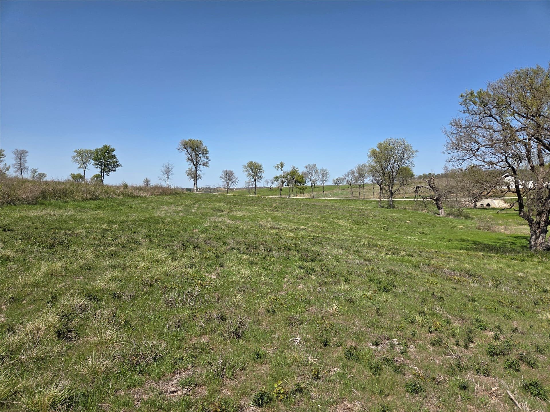 3.77 acres in Navarro County - photo 22