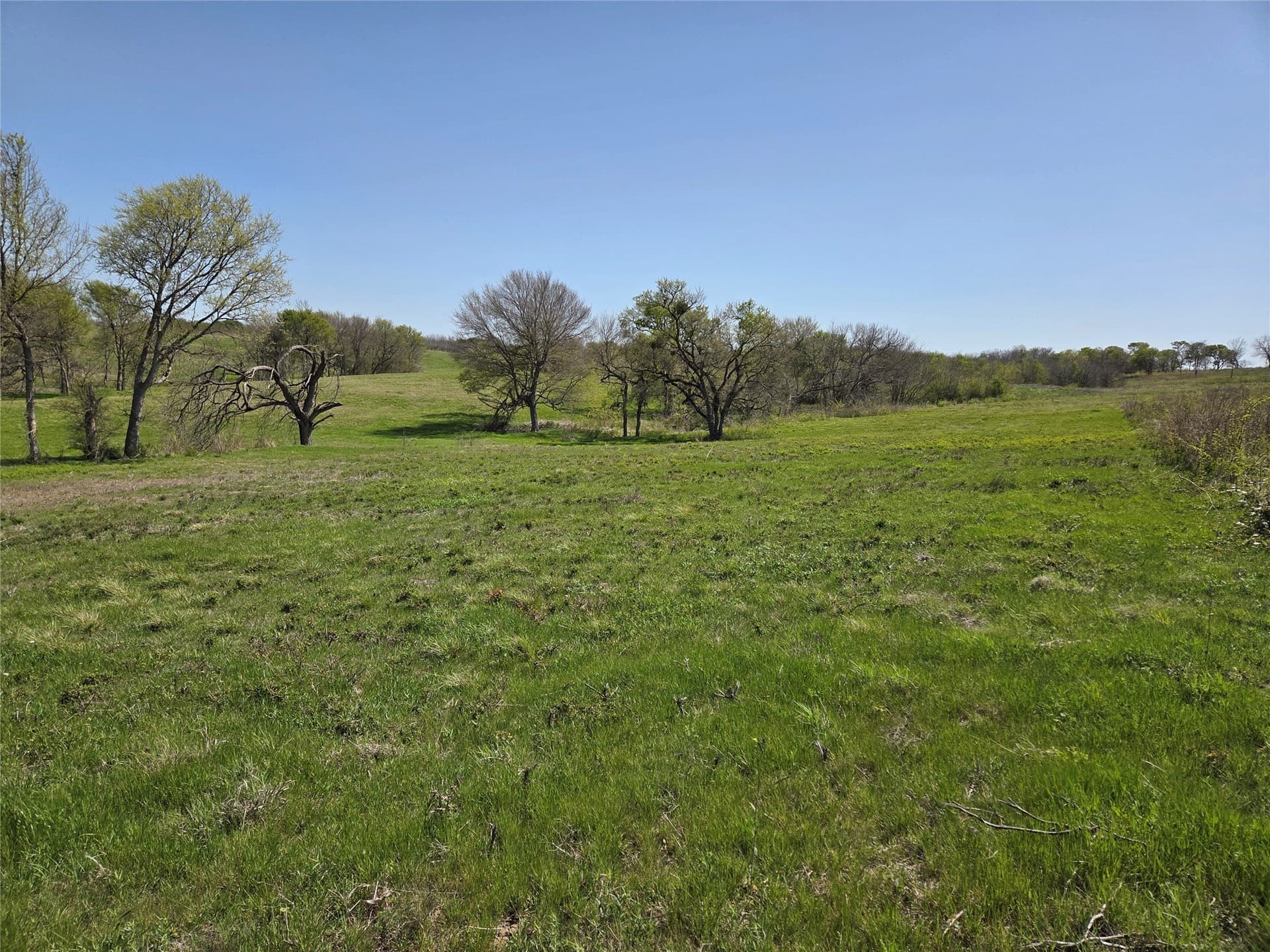 3.77 acres in Navarro County - photo 12