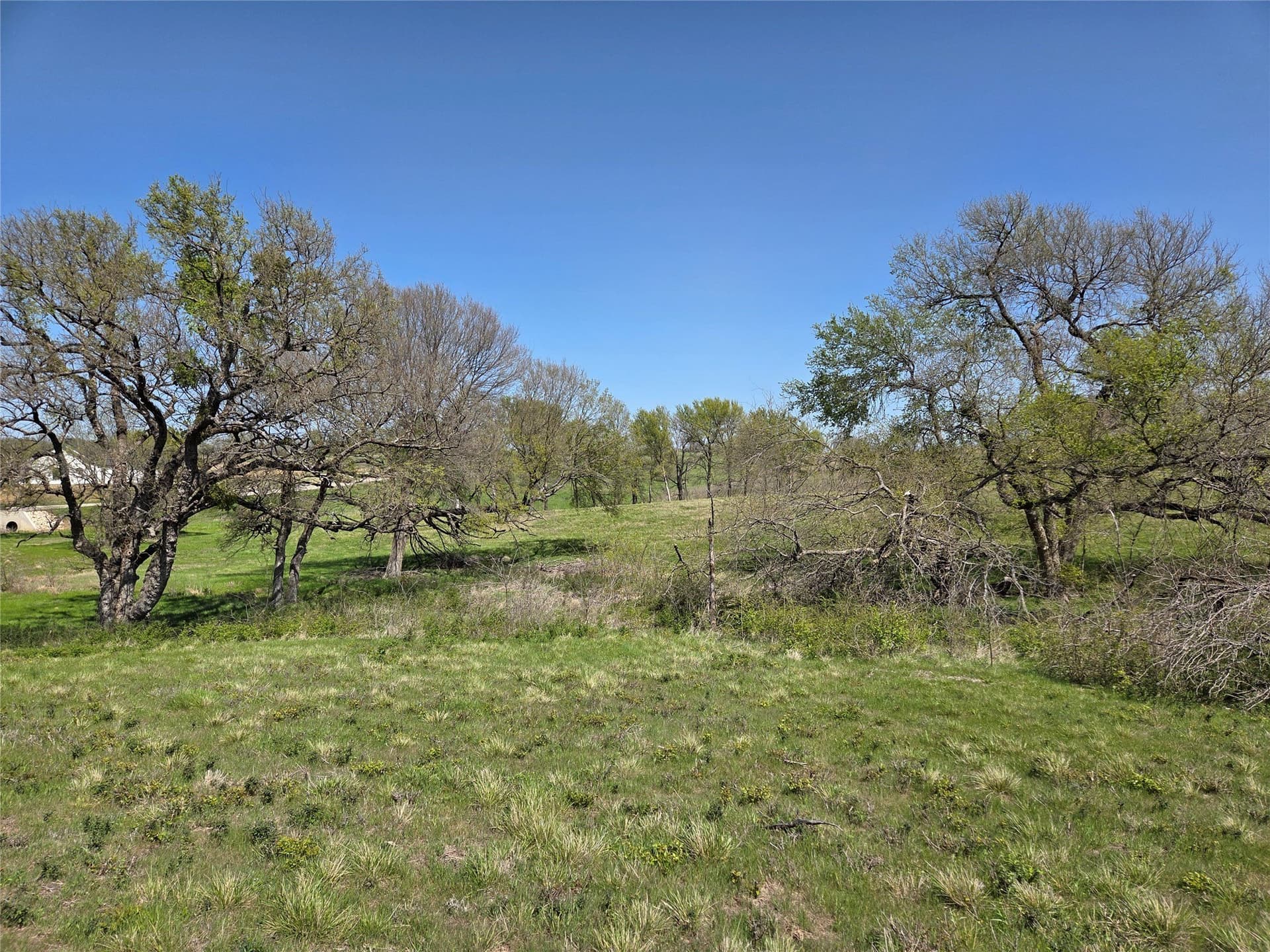 3.77 acres in Navarro County - photo 21