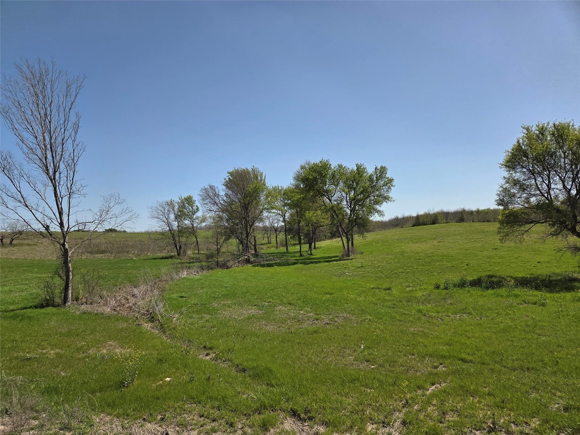 3.77 acres in Navarro County - photo 25