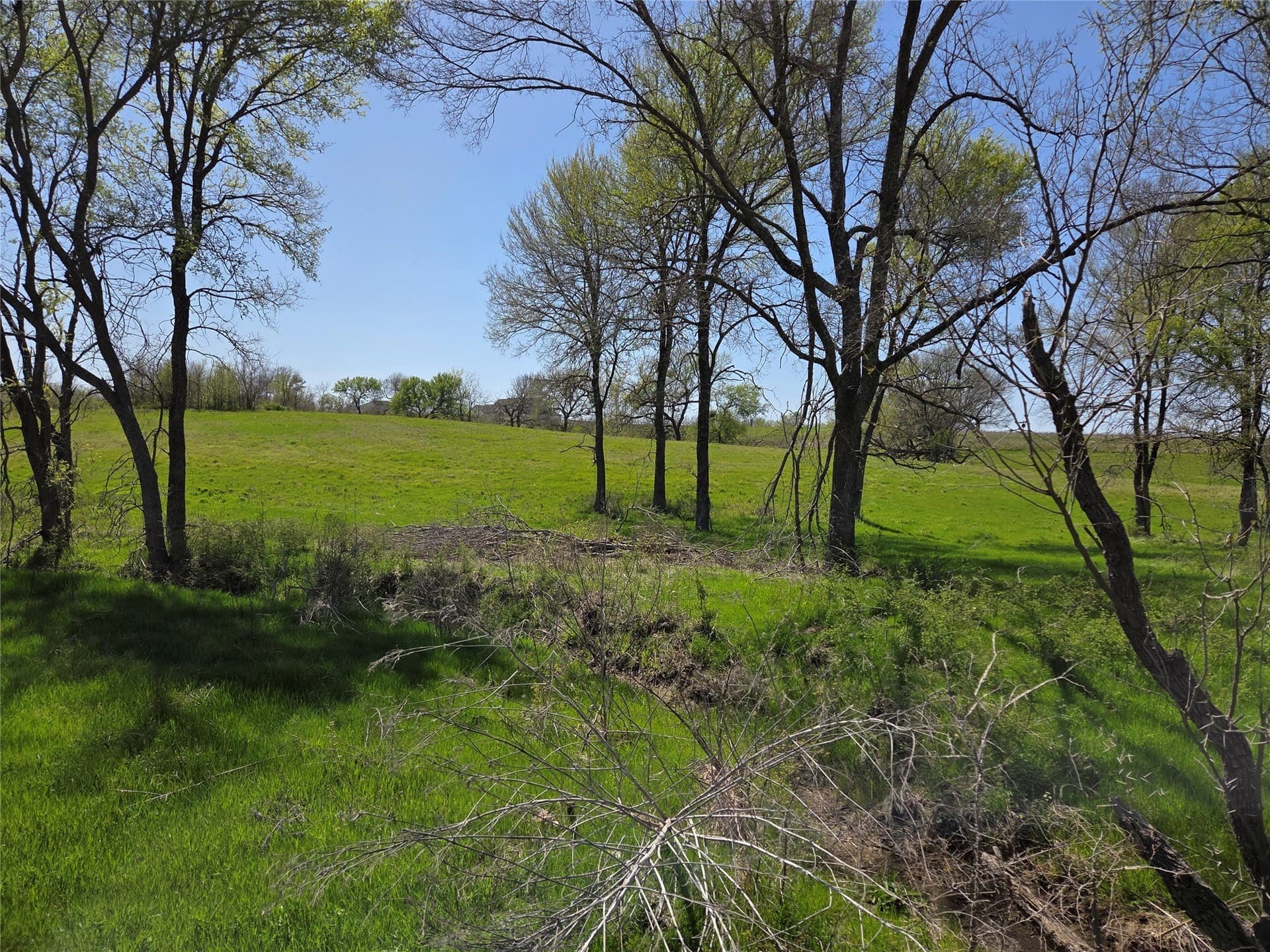 3.77 acres in Navarro County - photo 39