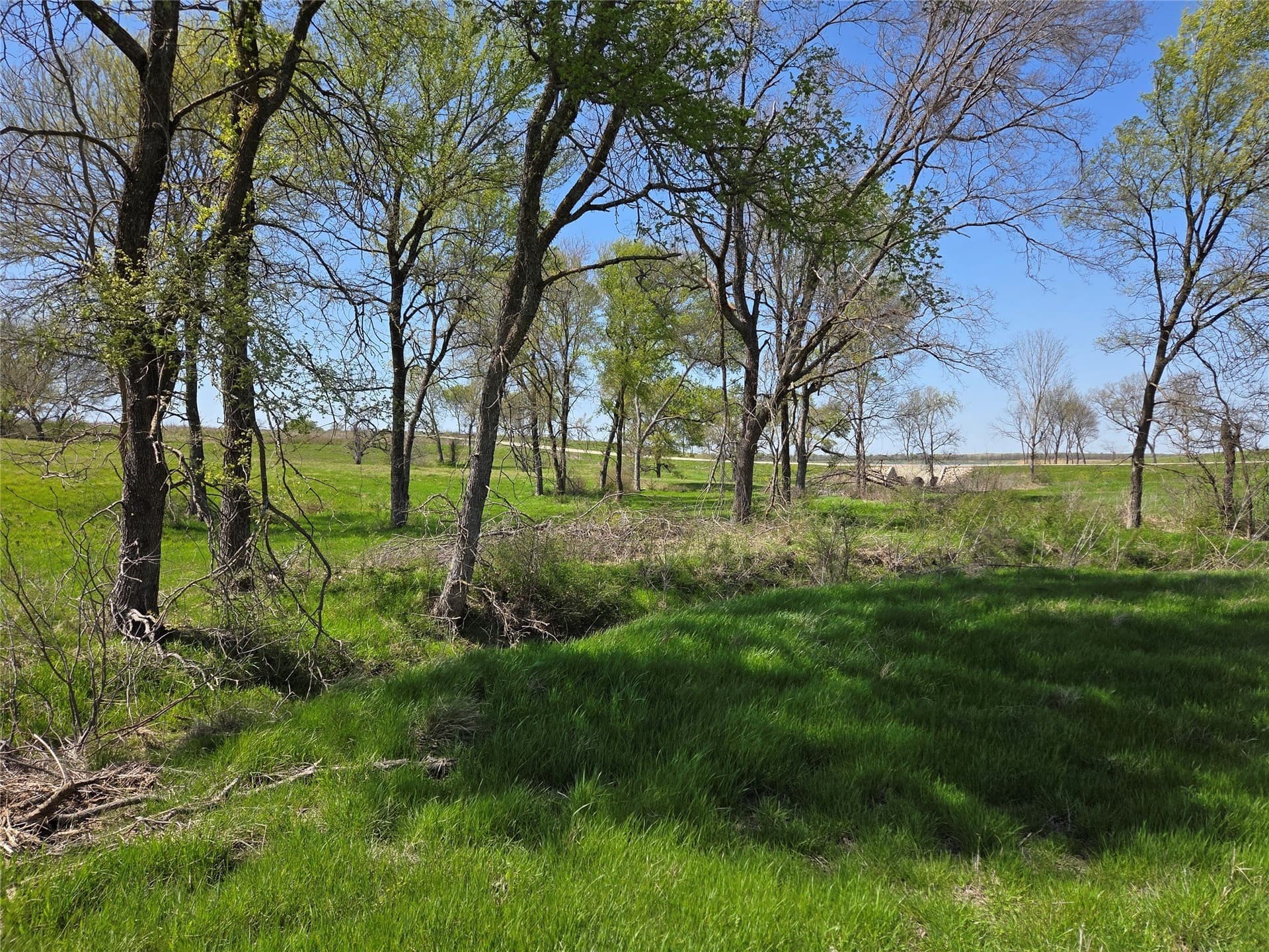 3.77 acres in Navarro County - photo 33