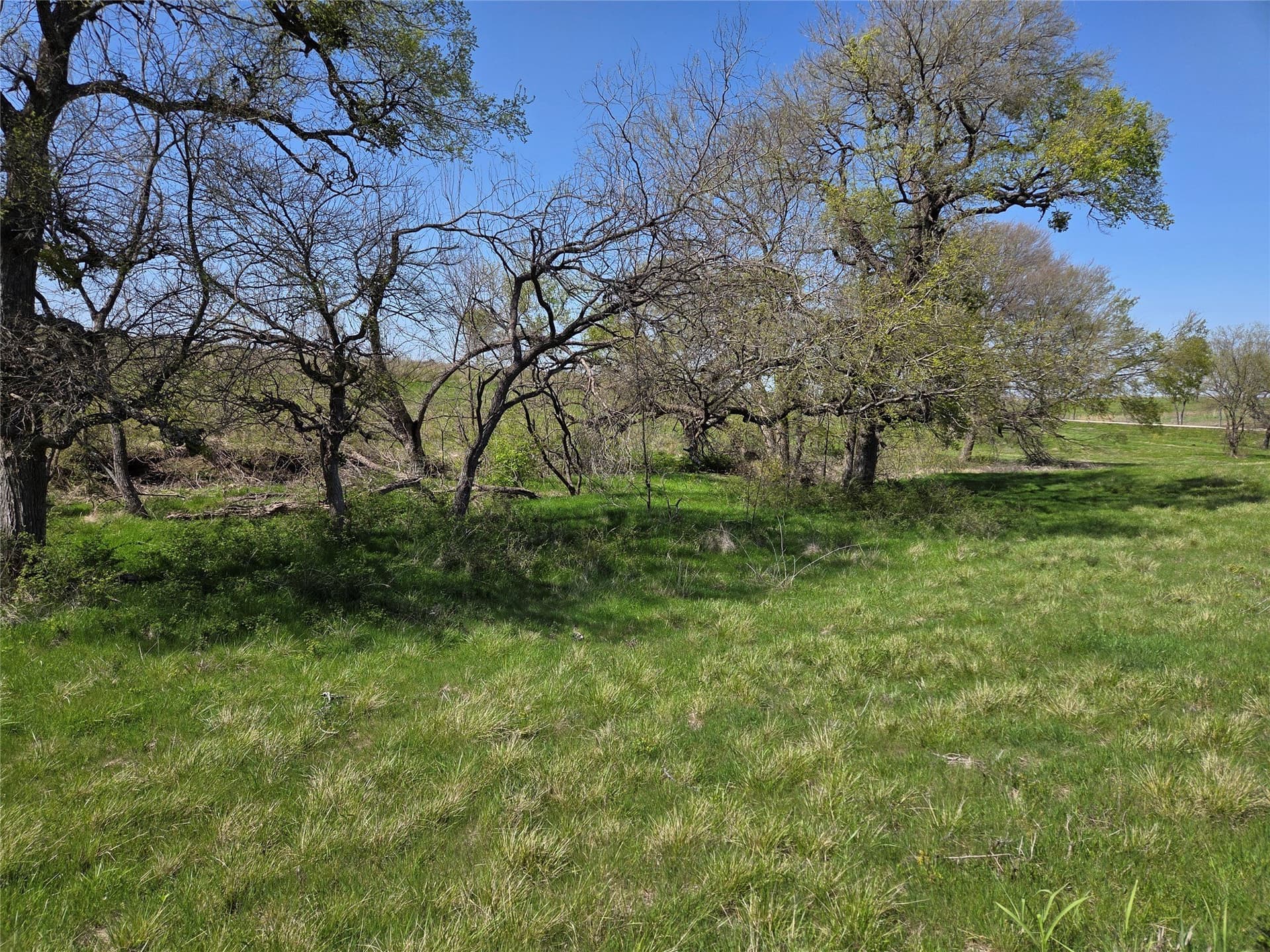 3.77 acres in Navarro County - photo 15