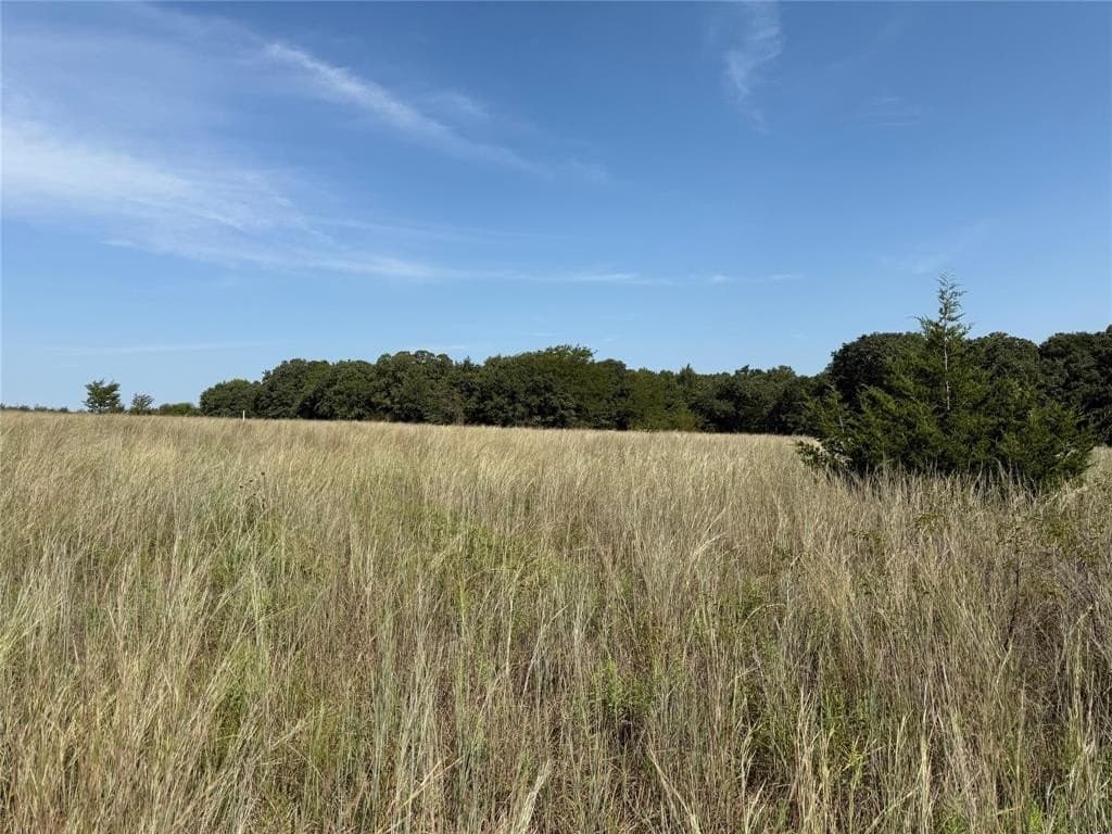 10.33 acres in Montague County gallery image 4