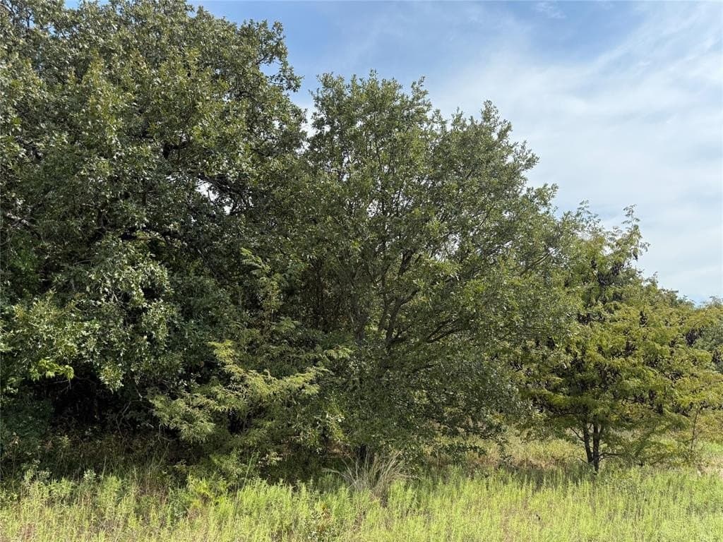 10.33 acres in Montague County gallery image 2