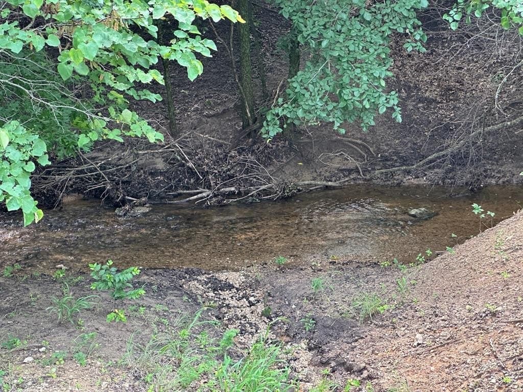 10.33 acres in Montague County gallery image 3