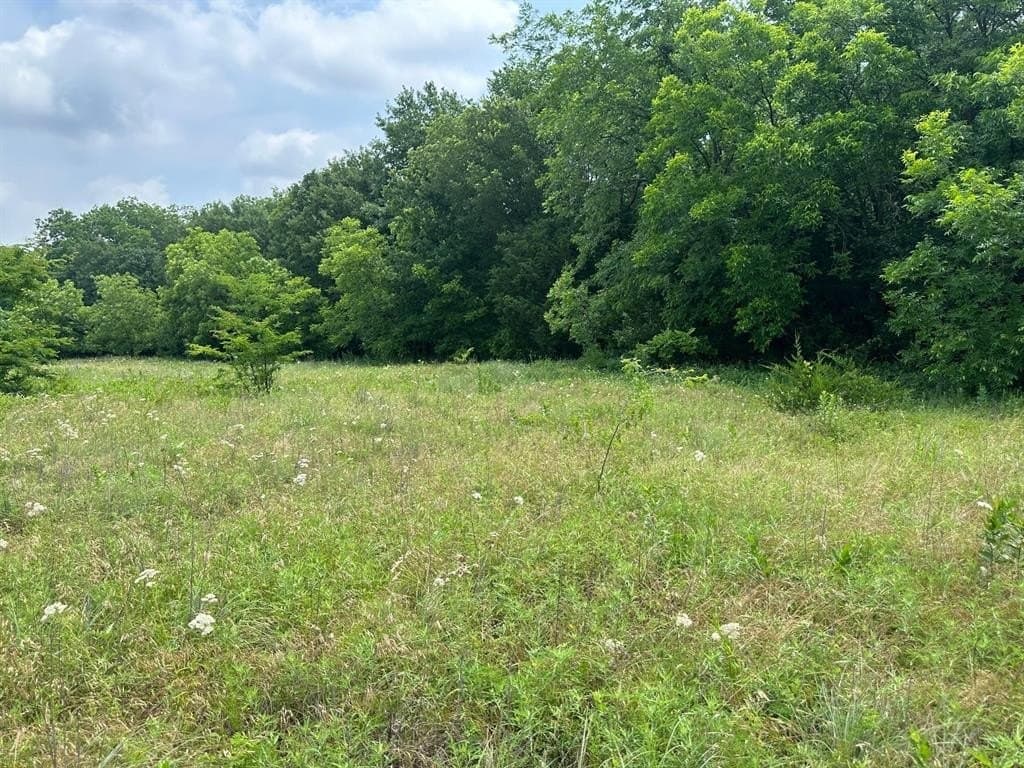 10.33 acres in Montague County featured view