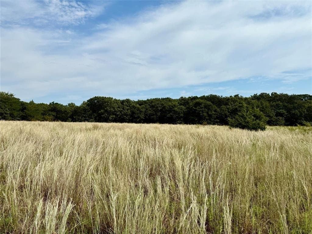 10.33 acres in Montague County