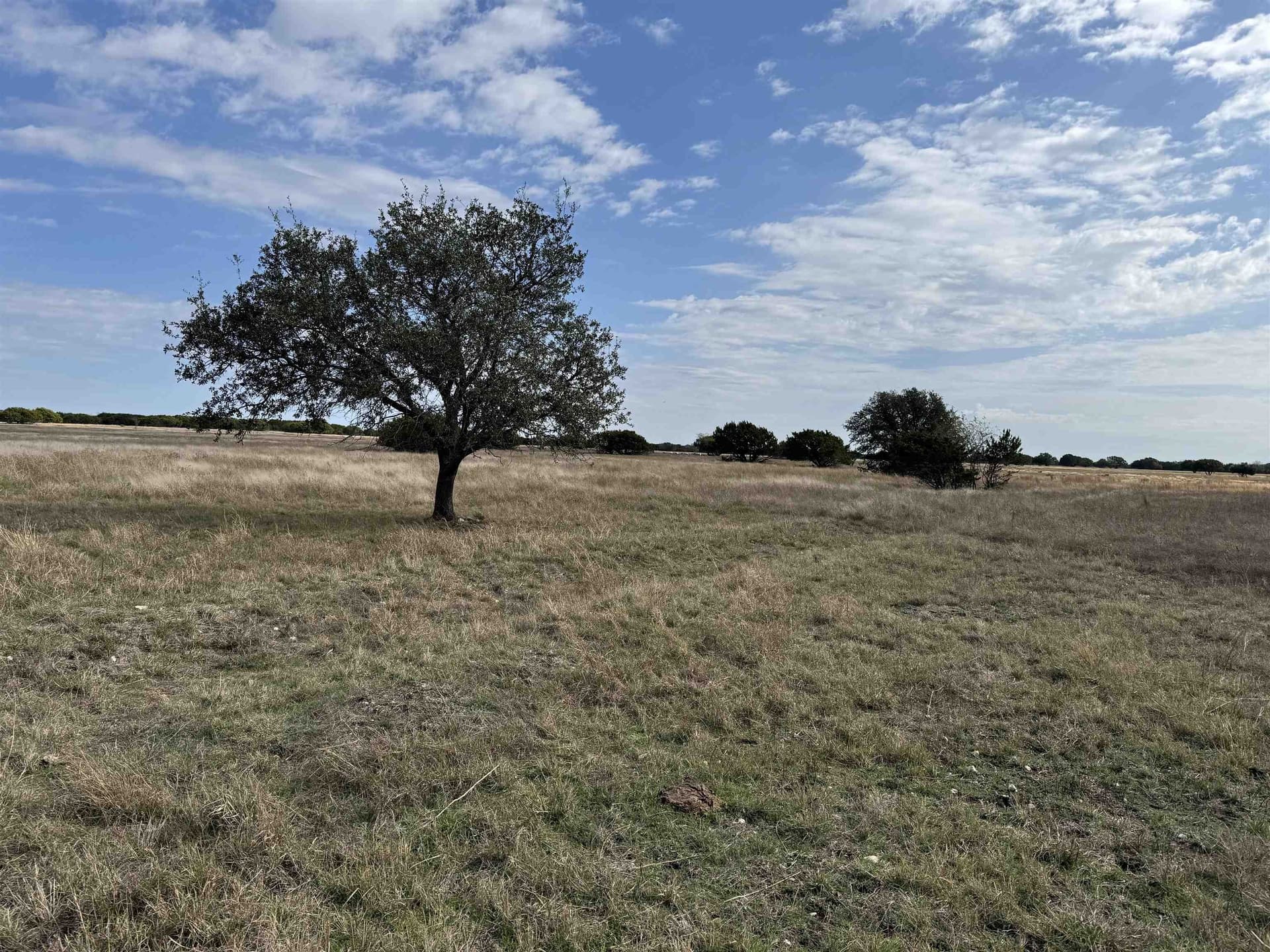 126 acres in Burnet County gallery image 4