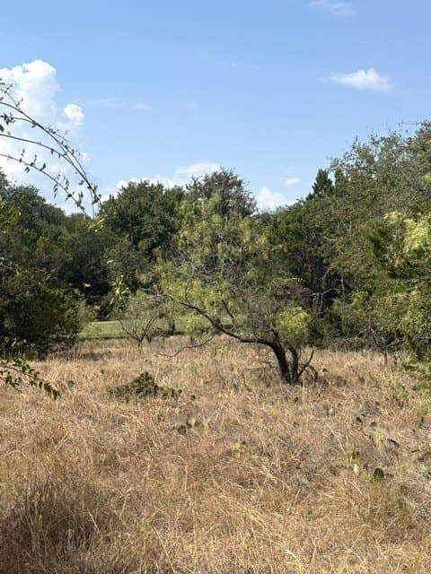 0.26 acres in Hill County - photo 2
