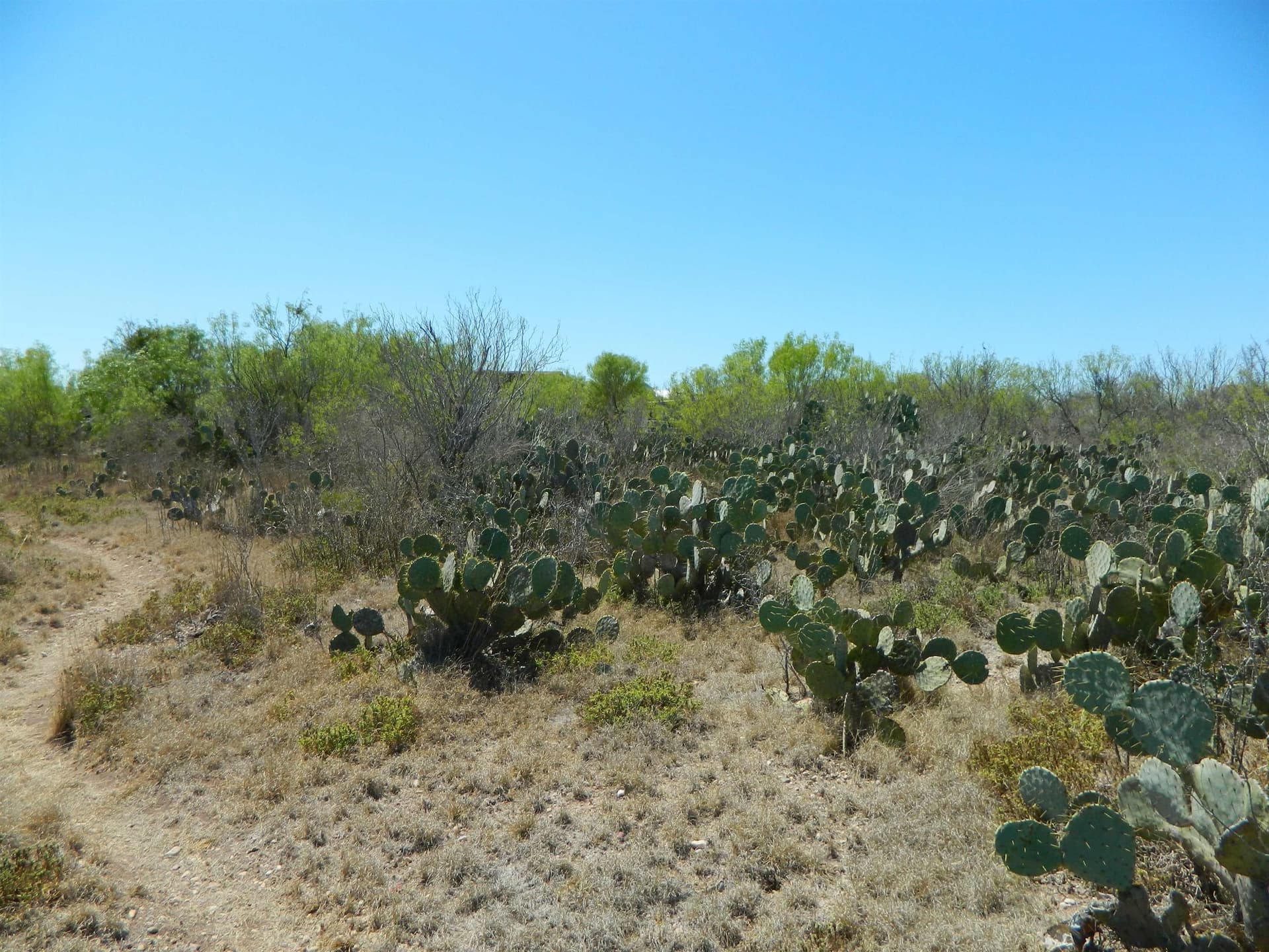 1.93 acres in Webb County featured view