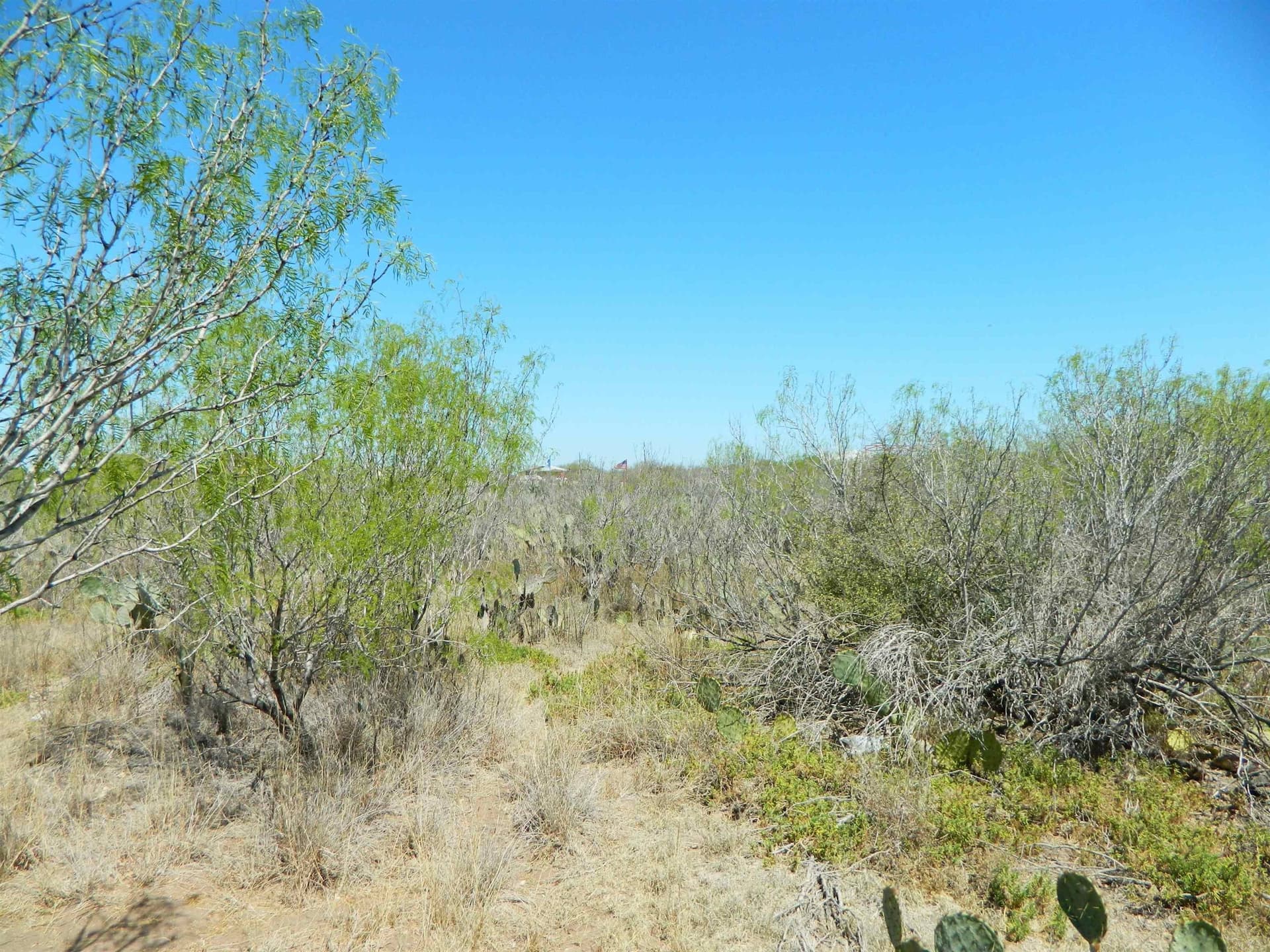 1.93 acres in Webb County - photo 7