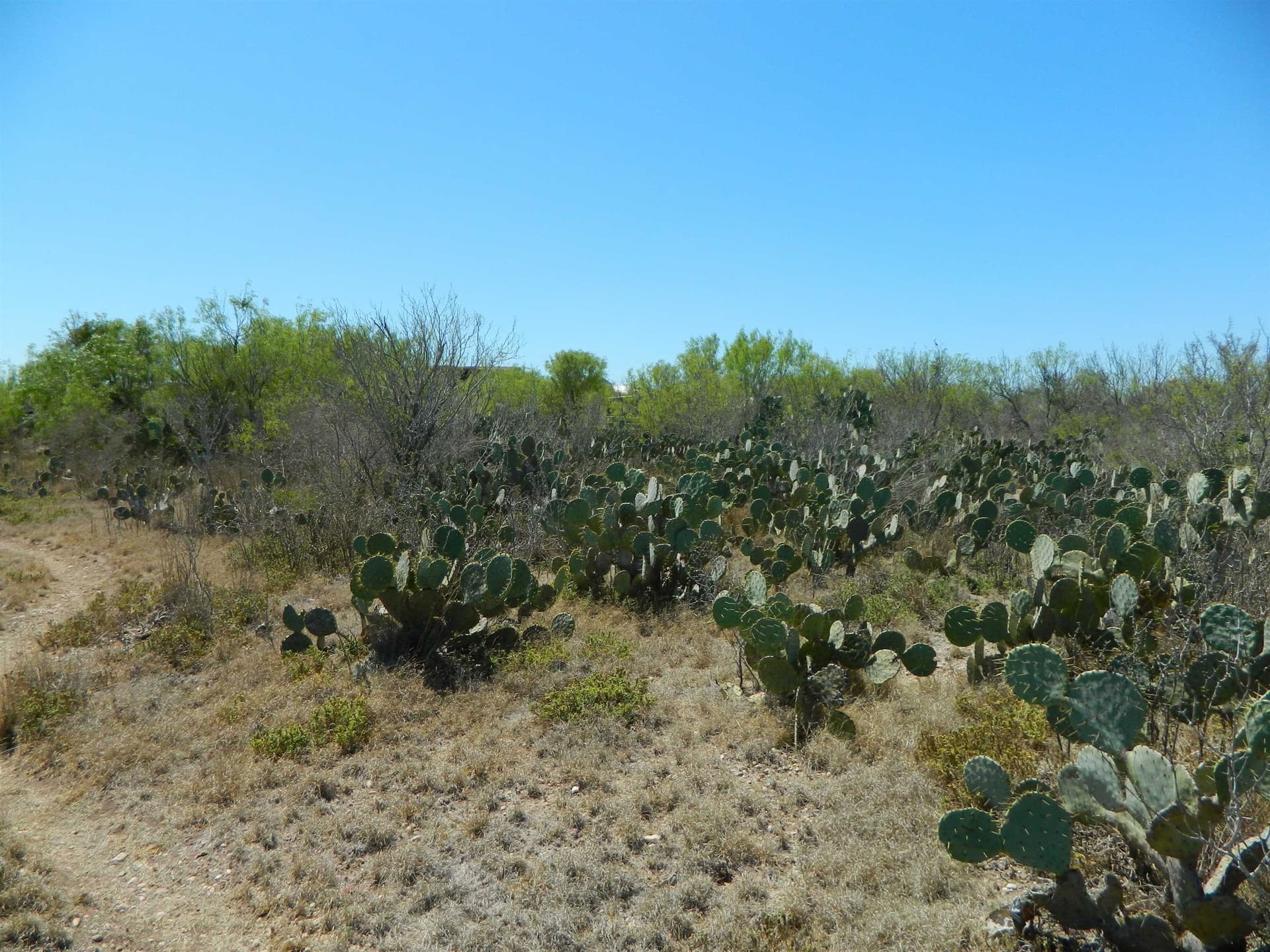 1.93 acres in Webb County - photo 6