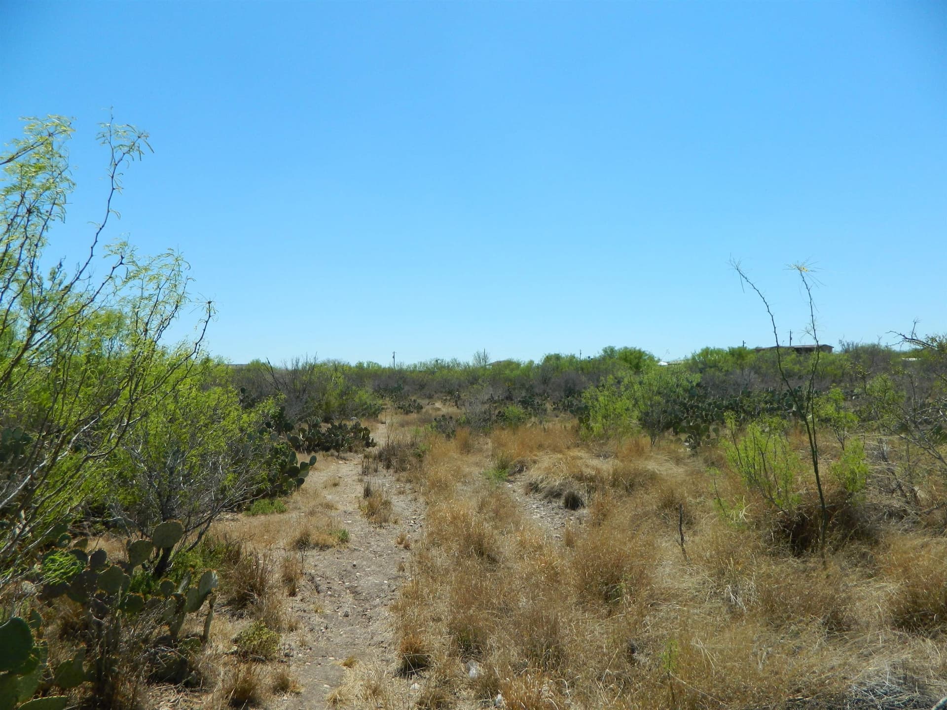 1.93 acres in Webb County gallery image 4