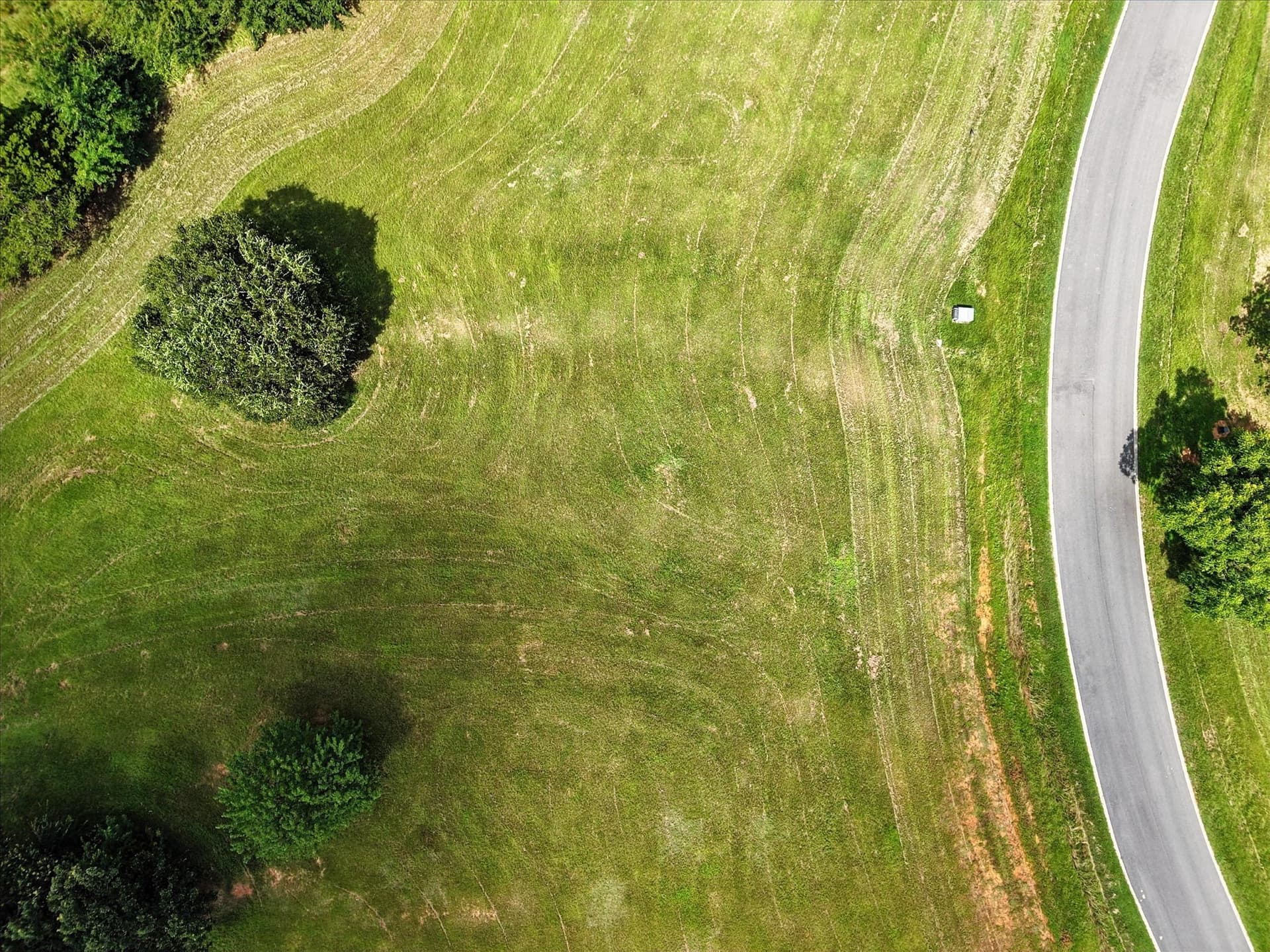 0.33 acres in Grayson County - photo 15
