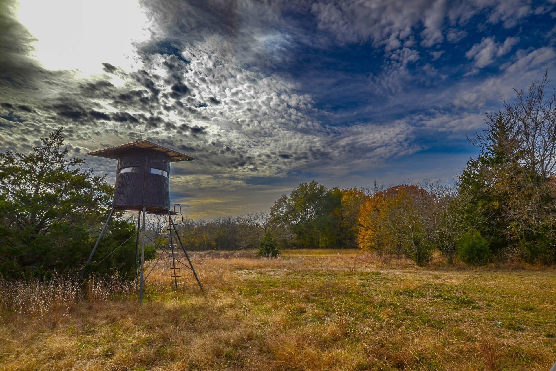 49.24 acres in Wood County - photo 19
