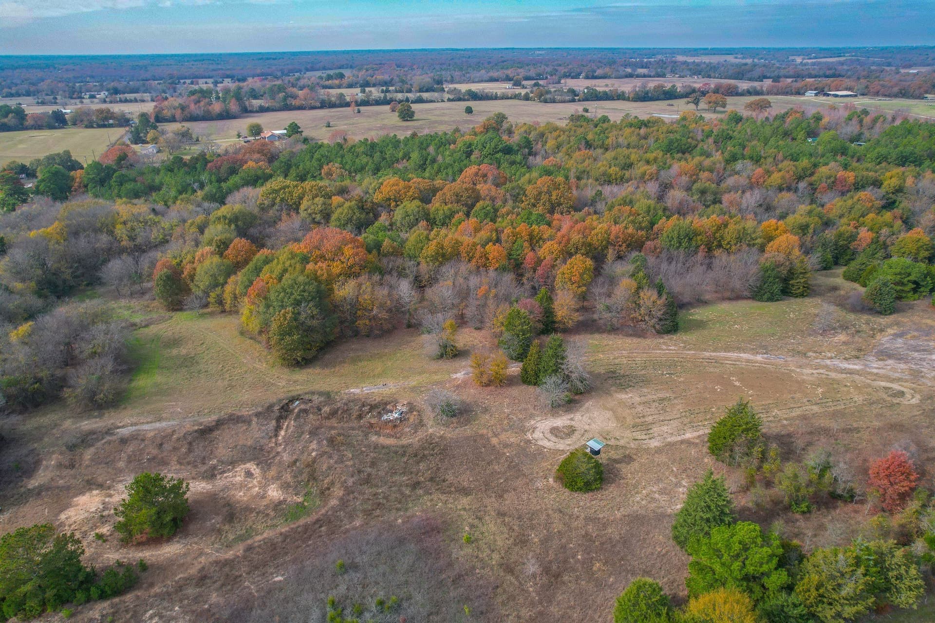 49.24 acres in Wood County - photo 7