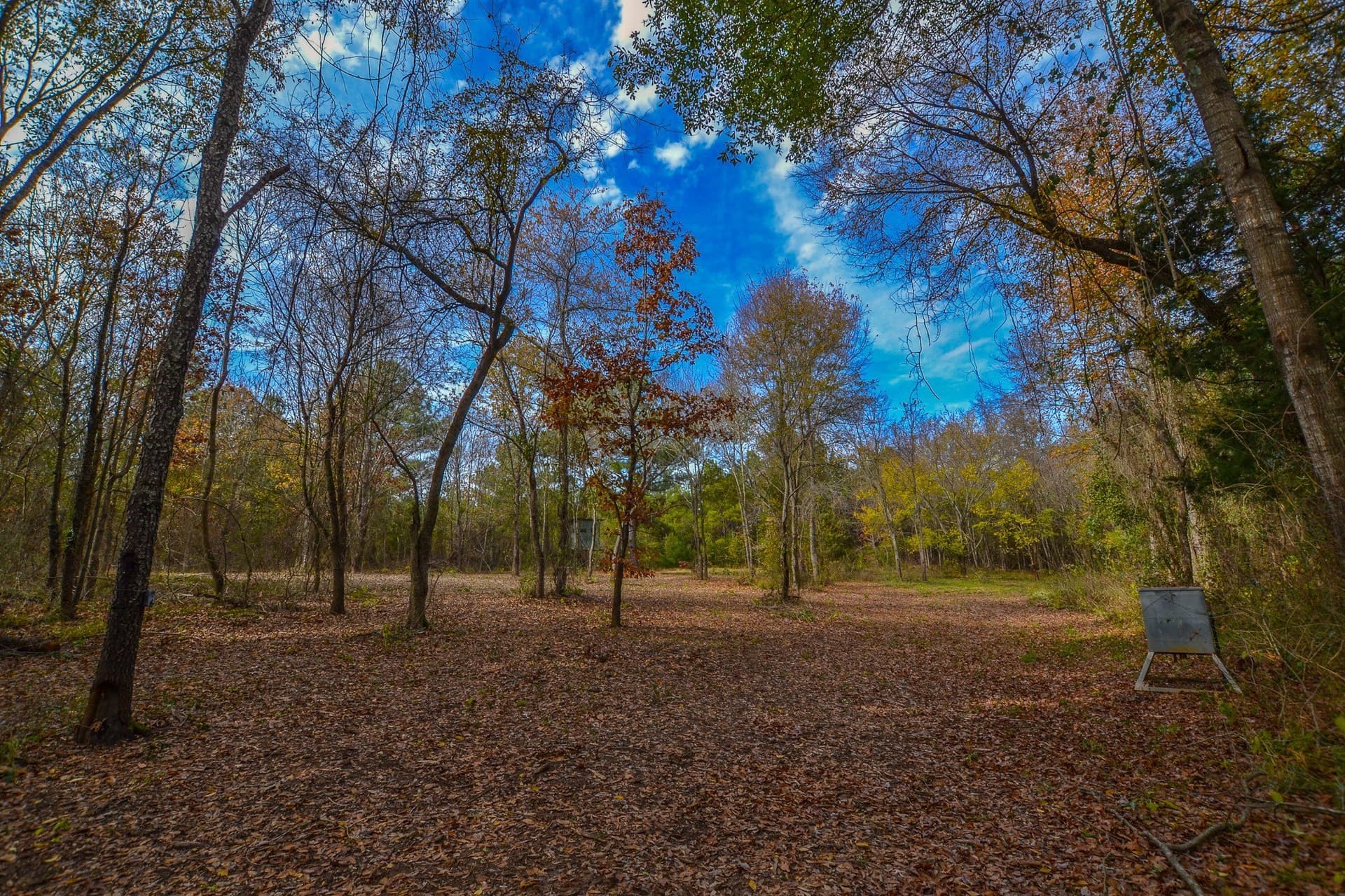 49.24 acres in Wood County - photo 15