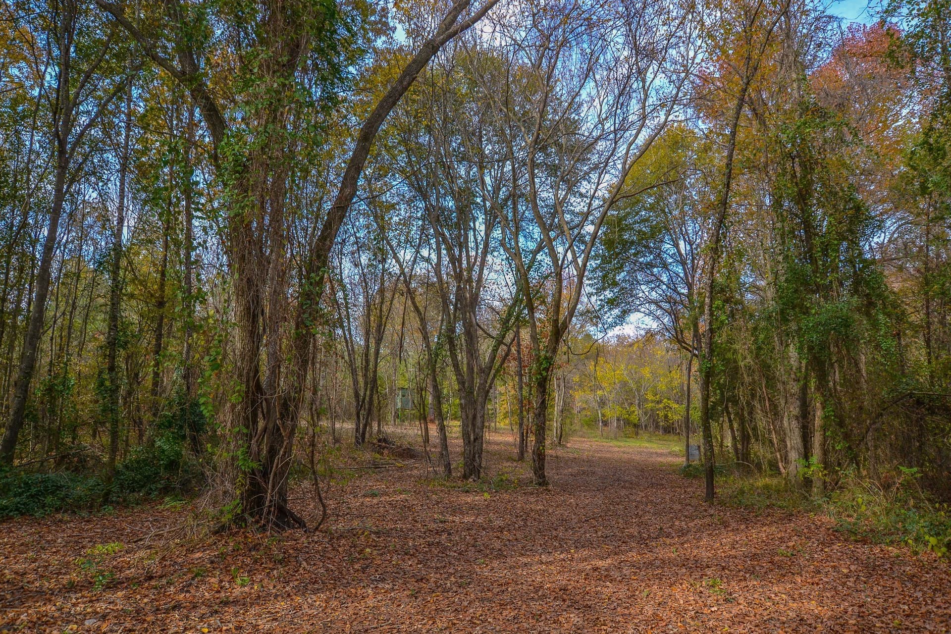 49.24 acres in Wood County - photo 16