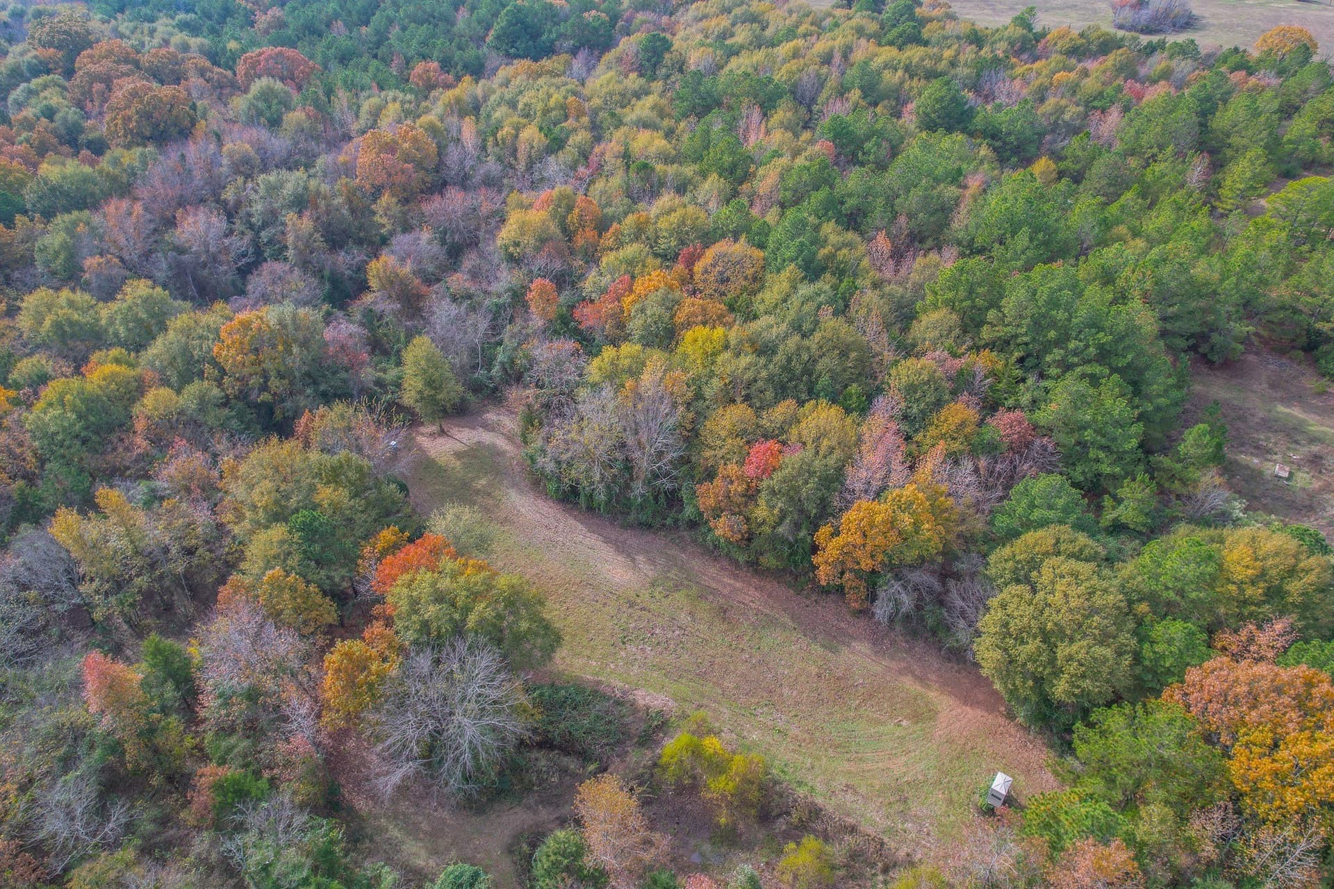 49.24 acres in Wood County featured view