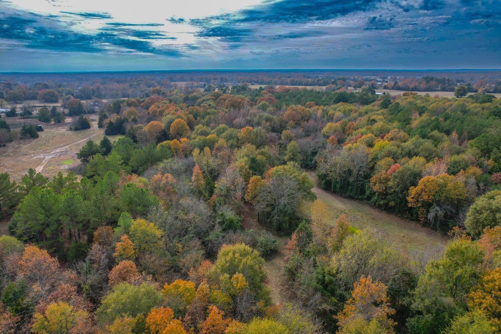 49.24 acres in Wood County - photo 10