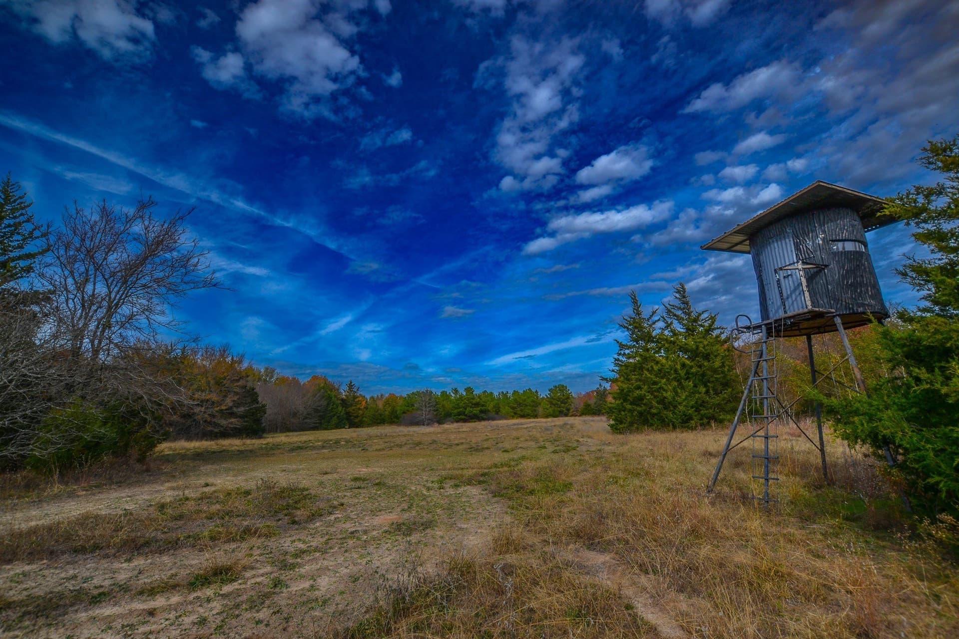 49.24 acres in Wood County gallery image 2