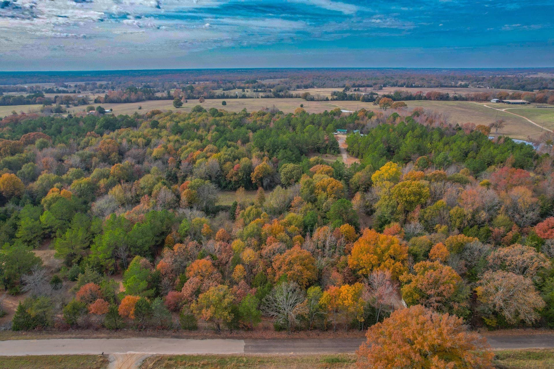 49.24 acres in Wood County