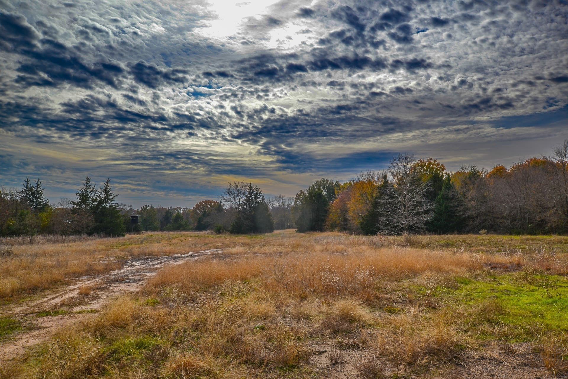 49.24 acres in Wood County - photo 18