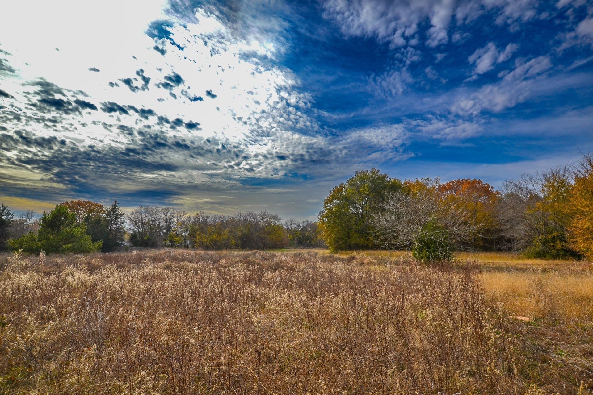 49.24 acres in Wood County - photo 20