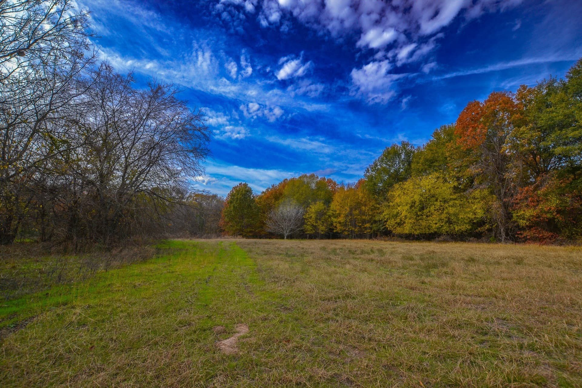 49.24 acres in Wood County - photo 21