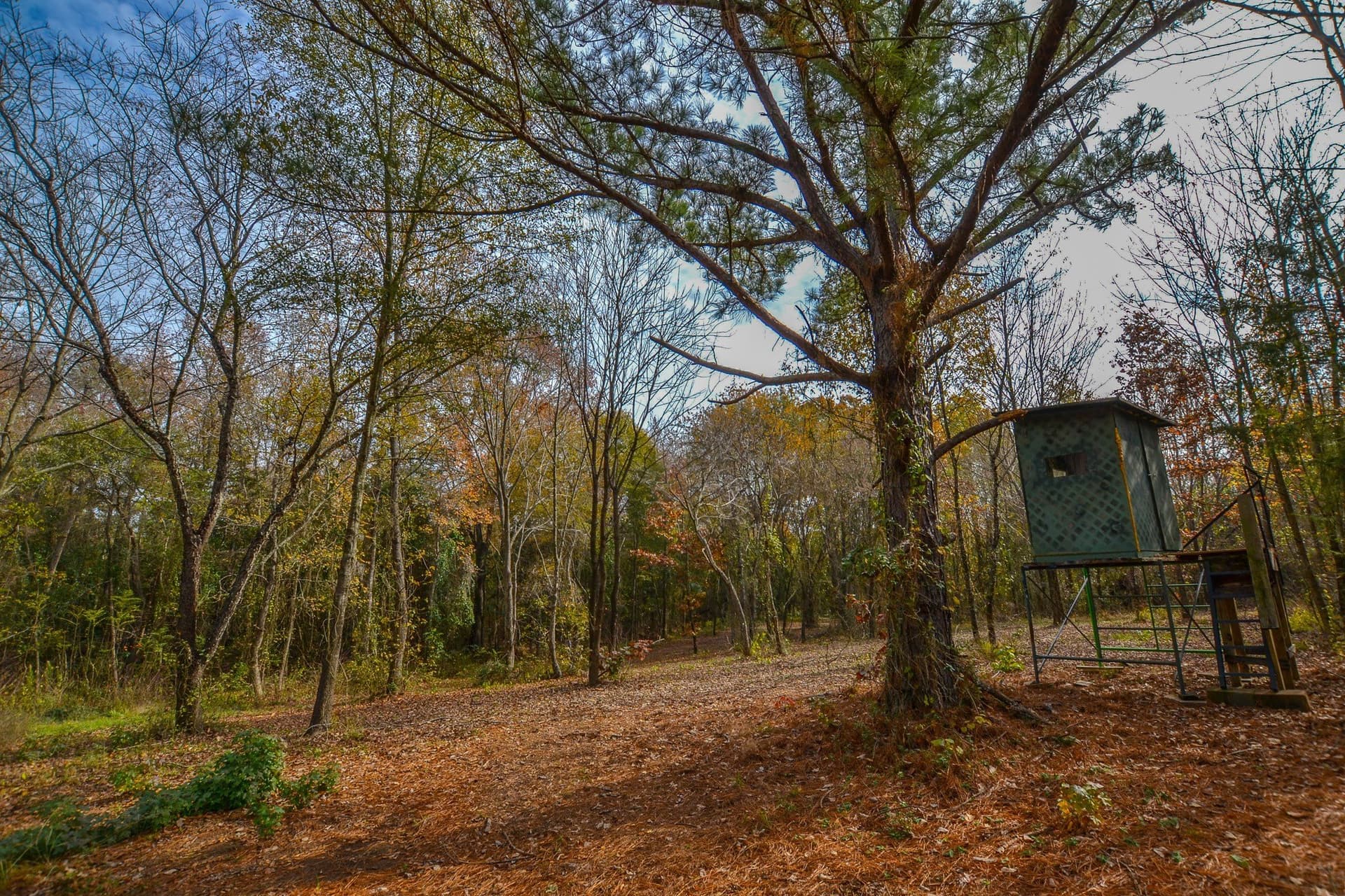 49.24 acres in Wood County - photo 13