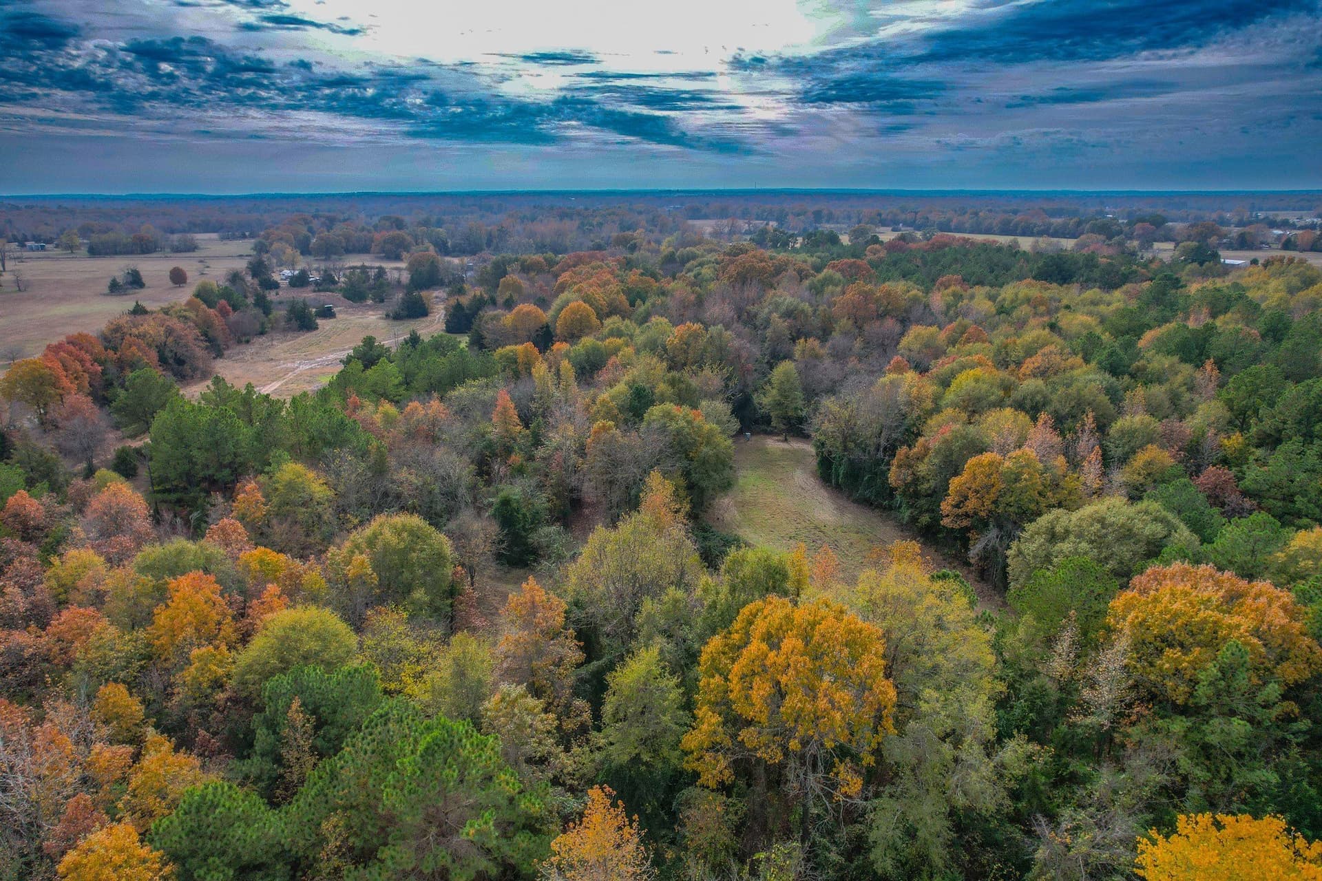 49.24 acres in Wood County gallery image 4