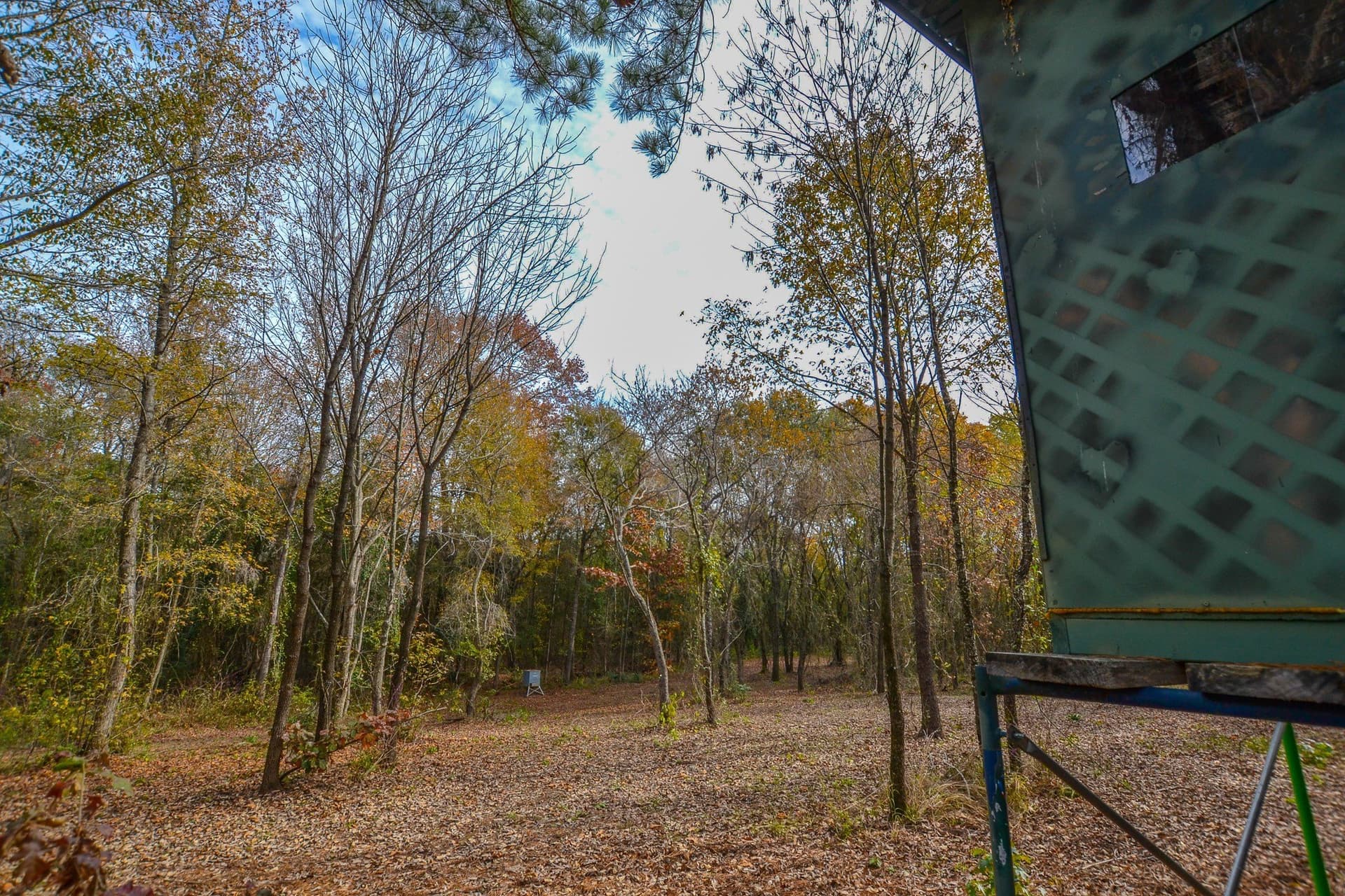 49.24 acres in Wood County - photo 14