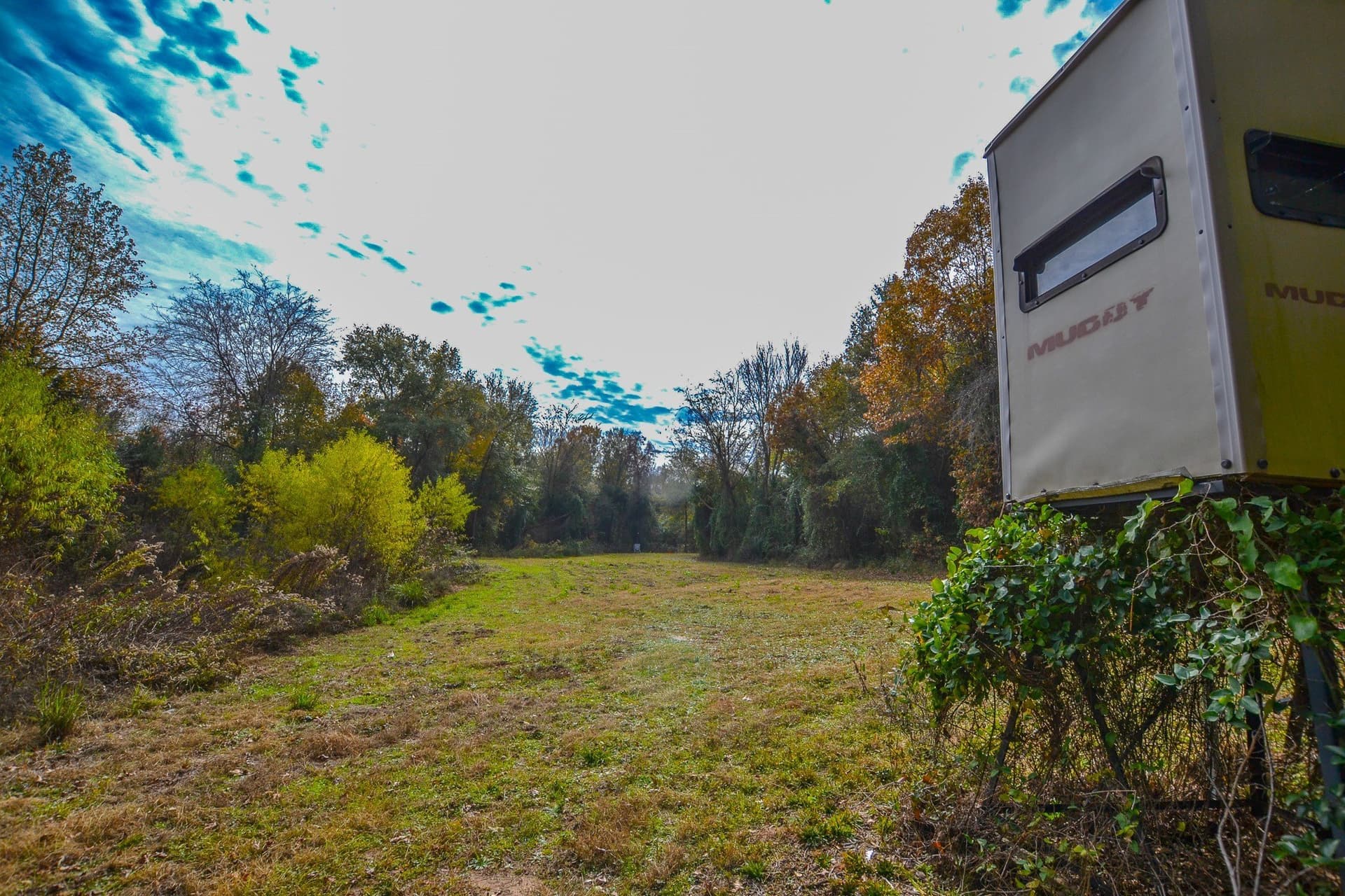49.24 acres in Wood County - photo 23