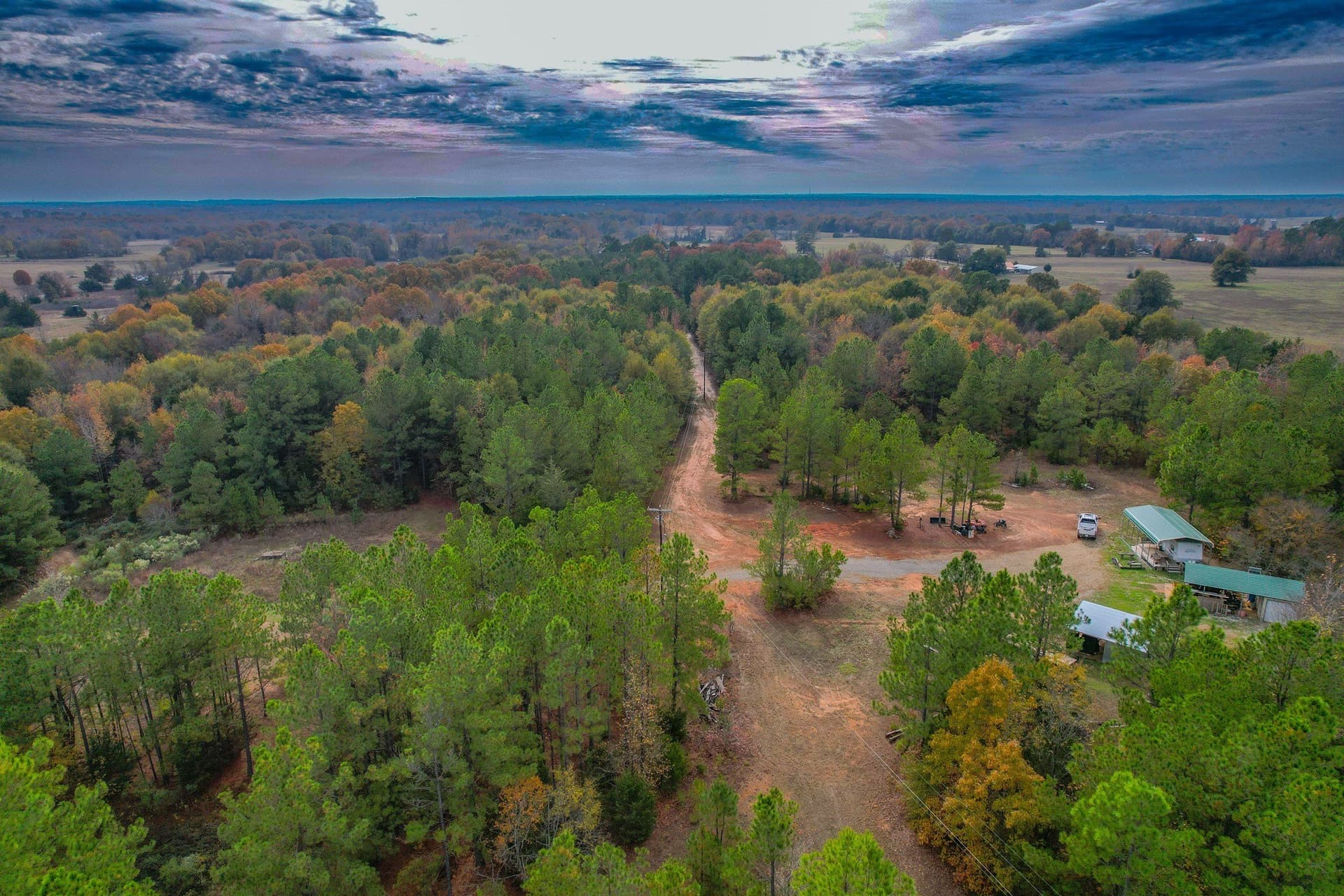 49.24 acres in Wood County gallery image 3