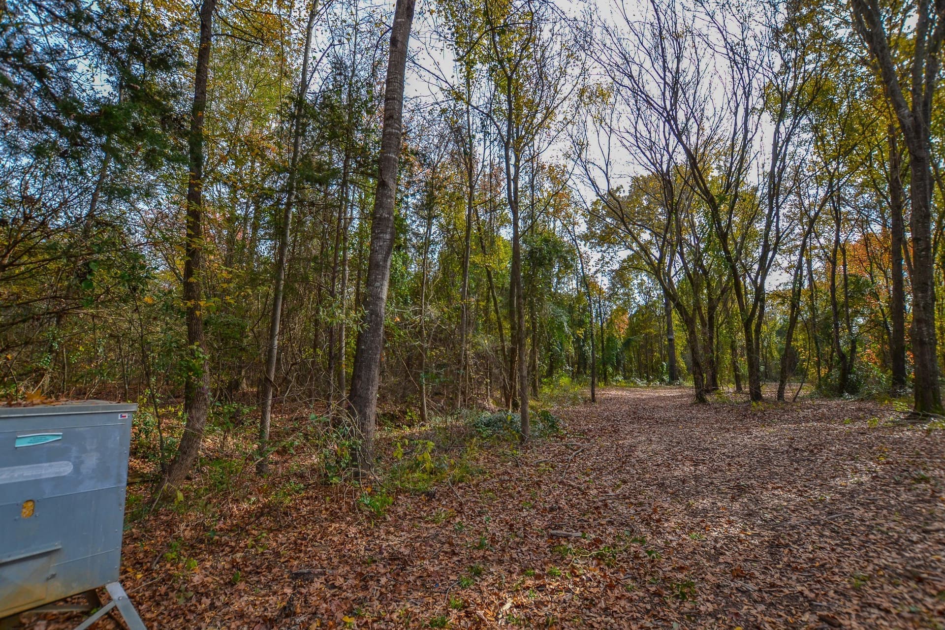 49.24 acres in Wood County - photo 17