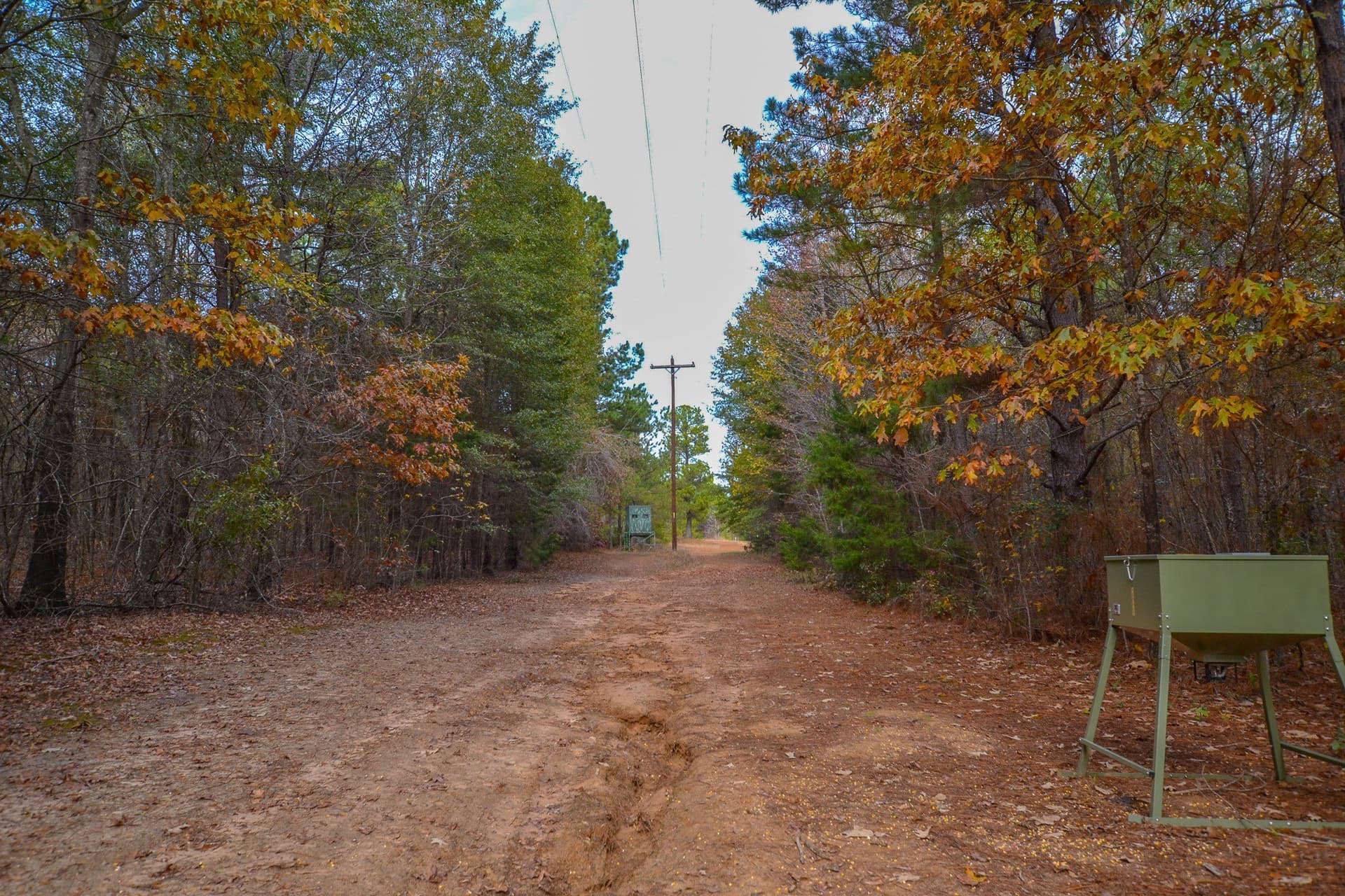 49.24 acres in Wood County - photo 25