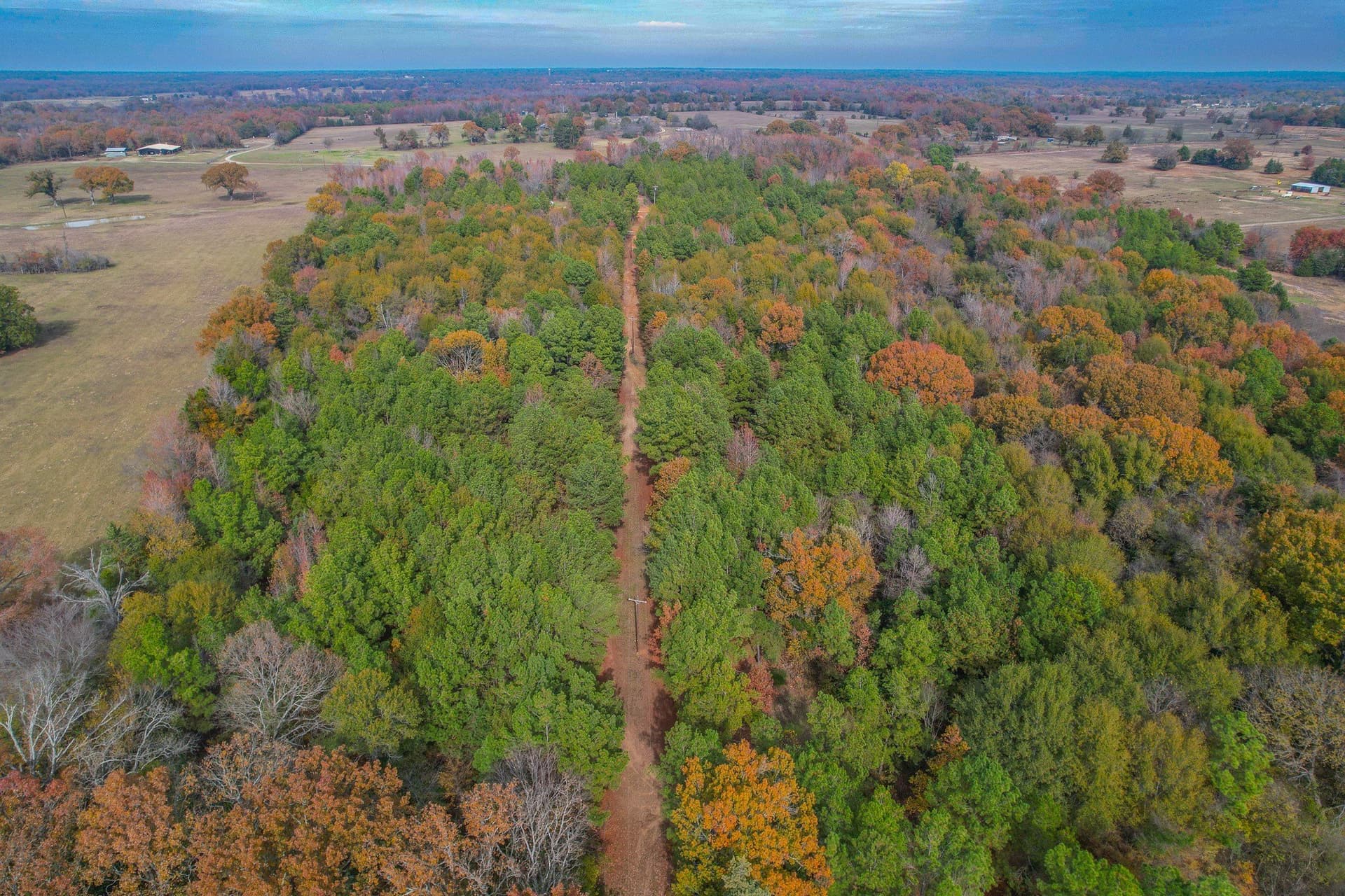 49.24 acres in Wood County - photo 9