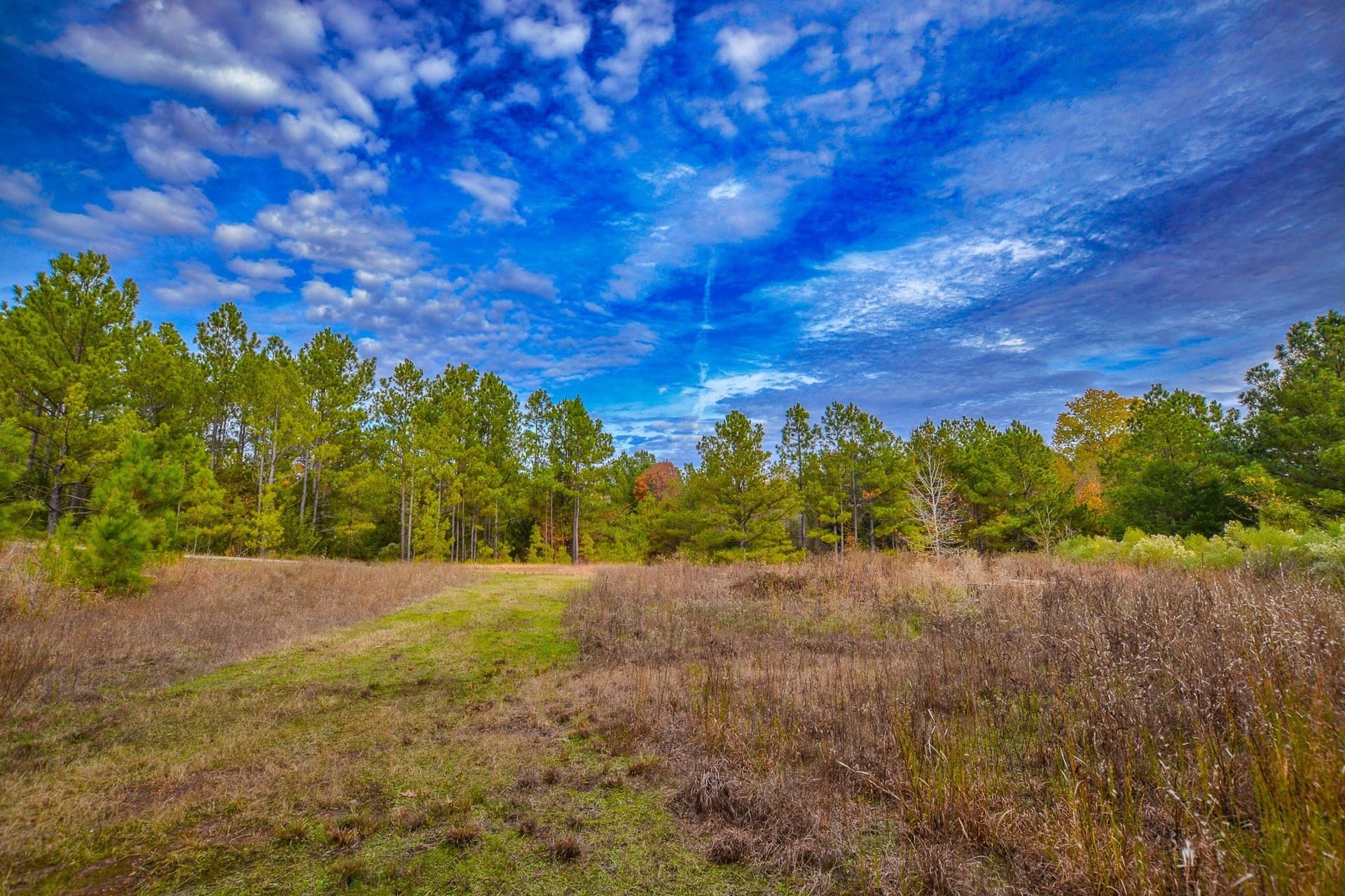 49.24 acres in Wood County - photo 22