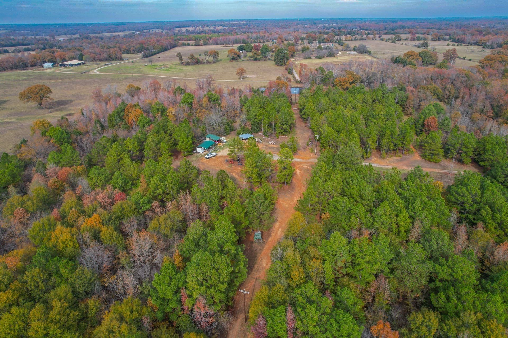 49.24 acres in Wood County - photo 8