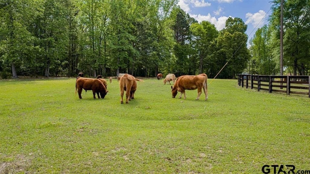 24.38 acres in Upshur County - photo 48
