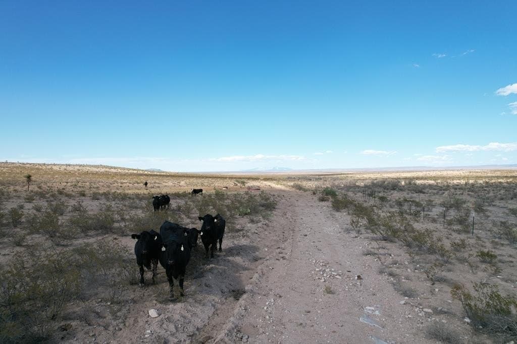 20.01 acres in Hudspeth County gallery image 2