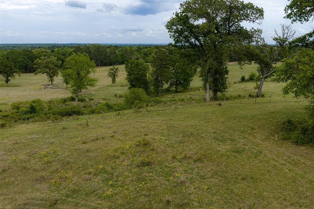 30.95 acres in Cherokee County gallery image 2
