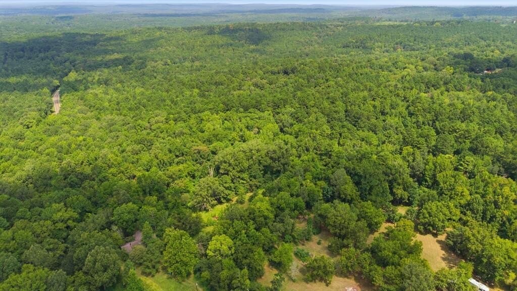 8 acres in Texas County - photo 12