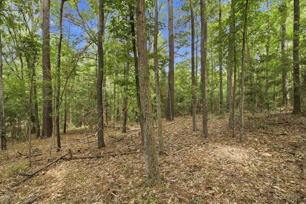 8 acres in Texas County - photo 9