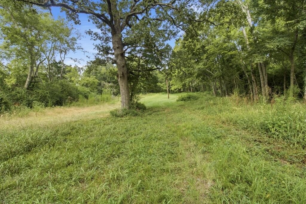 8 acres in Texas County - photo 2